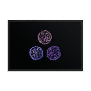 Failure To Launch | Framed Stem Cell Poster