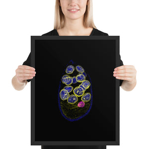 Egg Before Chicken | Framed Cell Biology Poster