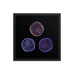 Failure To Launch | Framed Stem Cell Poster