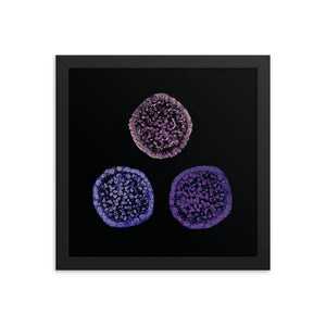 Failure To Launch | Framed Stem Cell Poster