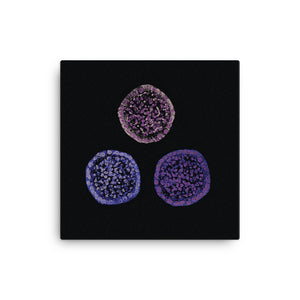 Failure To Launch | Stem Cell Canvas