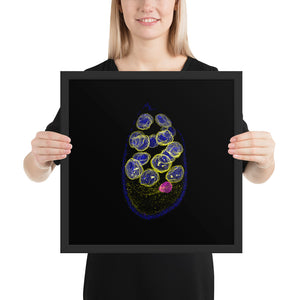 Egg Before Chicken | Framed Cell Biology Poster