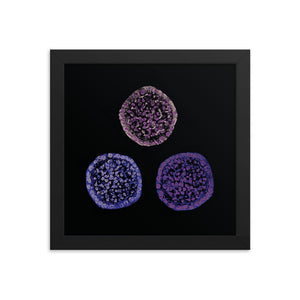 Failure To Launch | Framed Stem Cell Poster