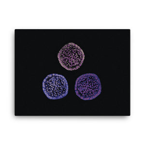 Failure To Launch | Stem Cell Canvas