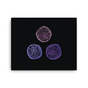Failure To Launch | Stem Cell Canvas